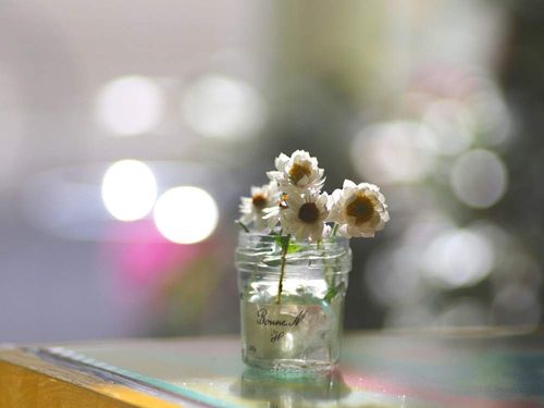 春の花をおうちで楽しむ 透明感が美しいガラスベースのアレンジとは Greensnap グリーンスナップ 春の花をおうちで楽しむ 透明感が美しいガラスベースのアレンジとは Greensnap グリーンスナップ