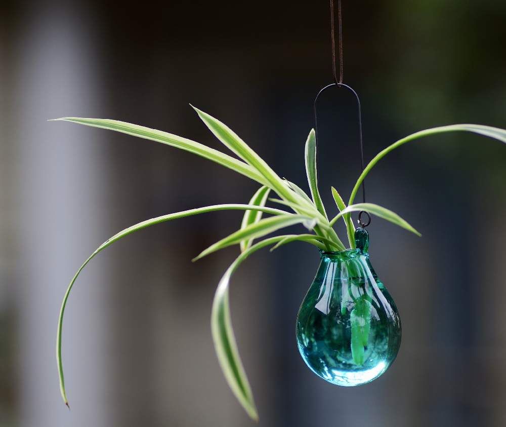 ガラス　葉っぱ