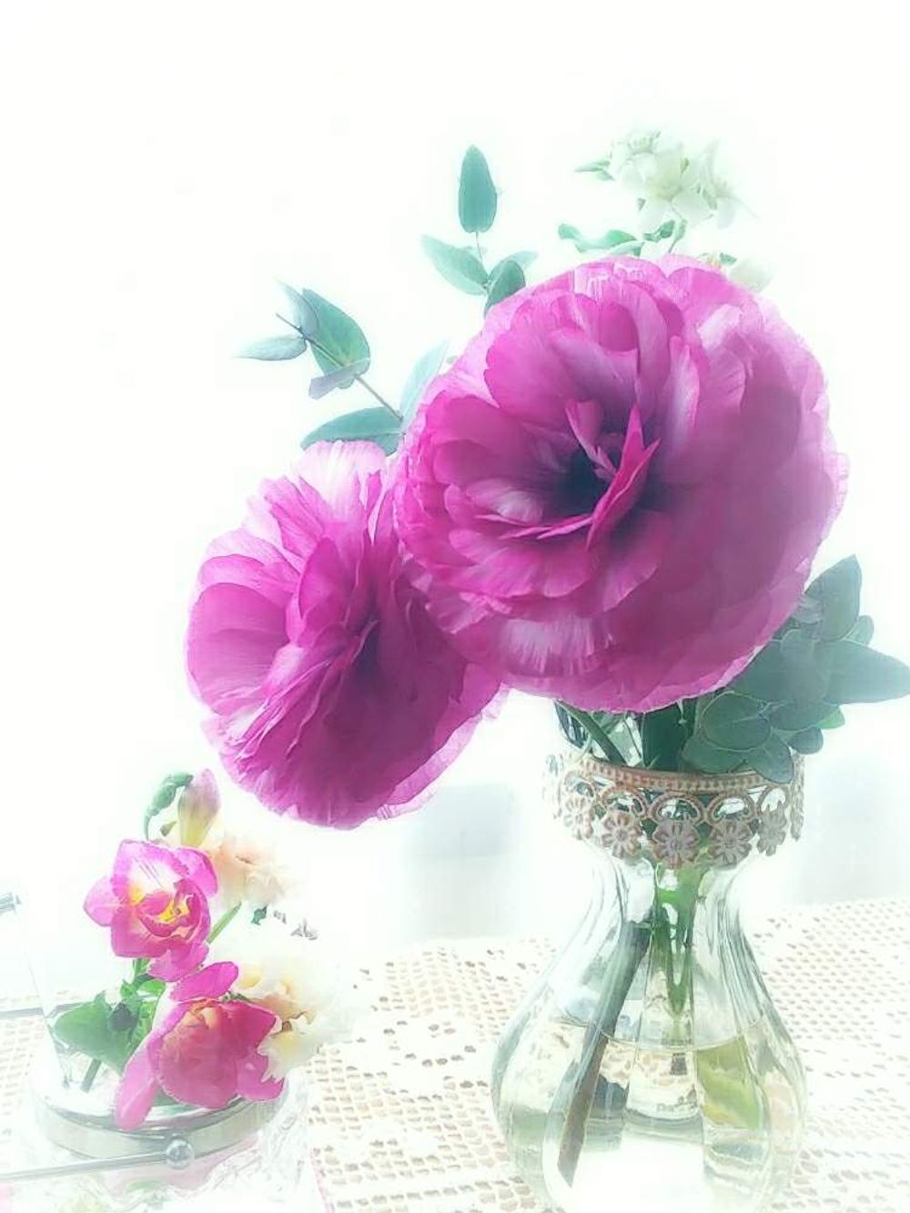 ガラス　ラナンキュラス