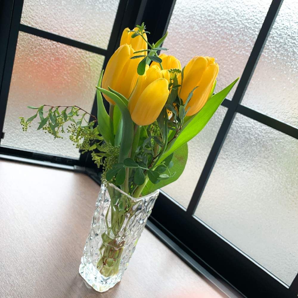 ガラス　チューリップ