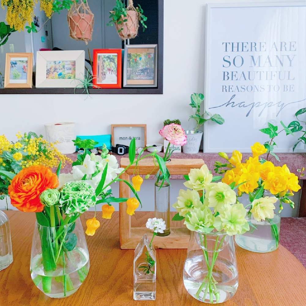 ガラス　いろいろ