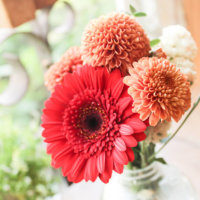 【知らなかった！花のキレイ＆長持ち術】「アンプル」を使って鉢花・切り花をイキイキ元気に！の画像