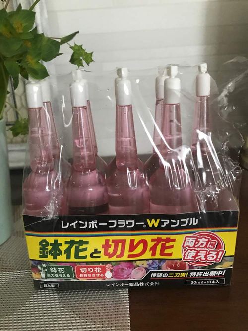 知らなかった 花のキレイ 長持ち術 アンプル を使って鉢花 切り花をイキイキ元気に Greensnap グリーンスナップ