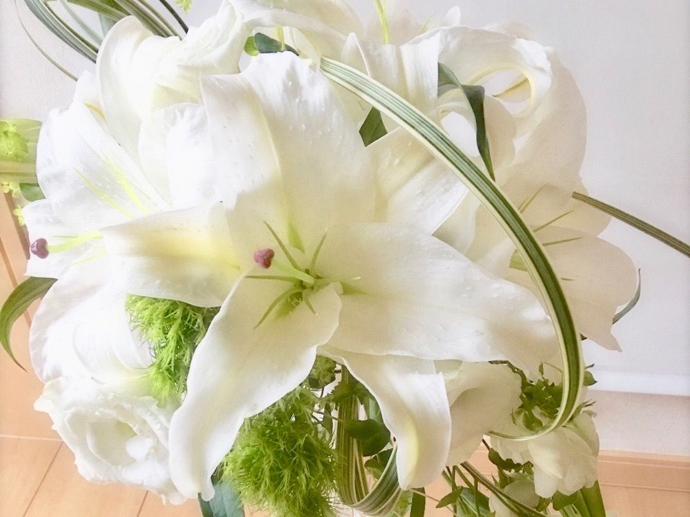 カサブランカ　　白い花