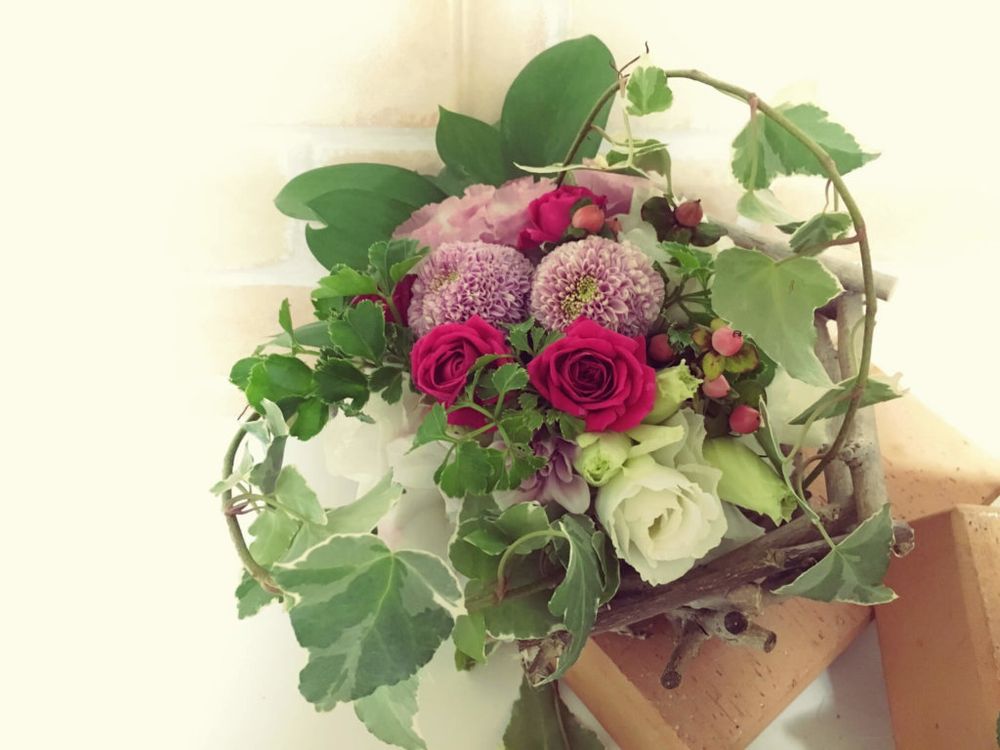 アイビー(ヘデラ)