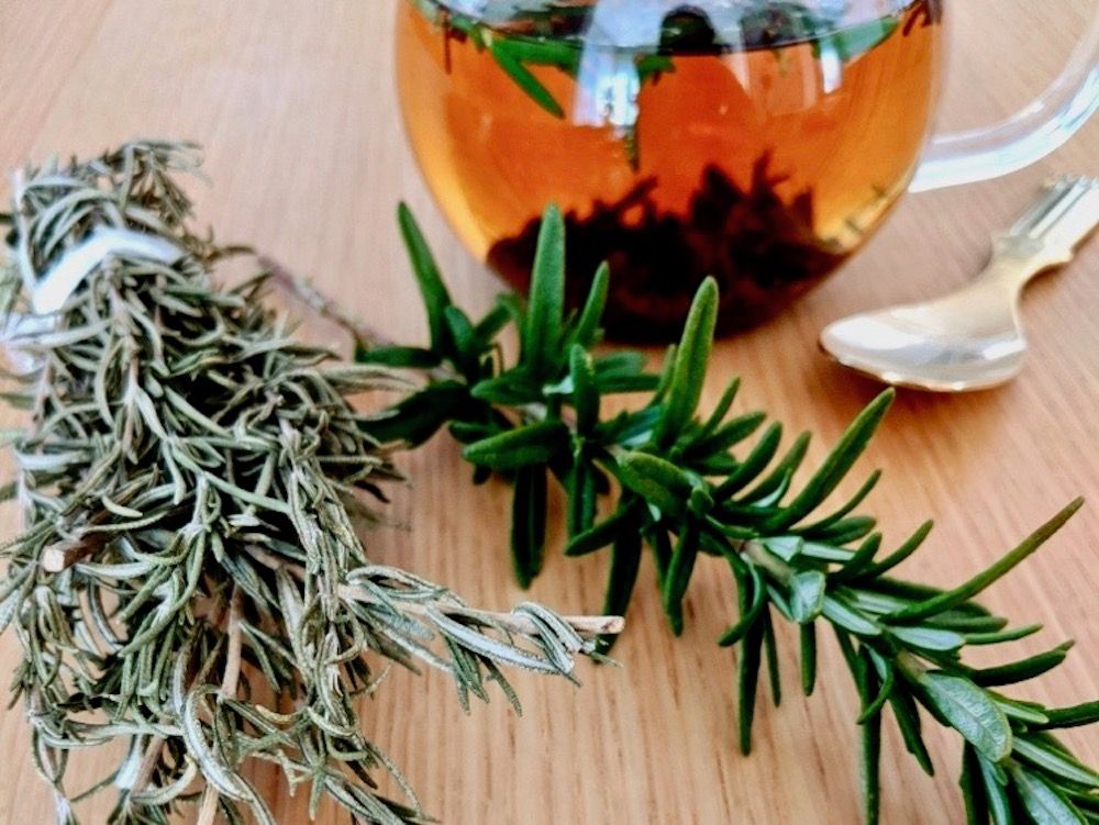 ローズマリー　ハーブ　ハーブティー