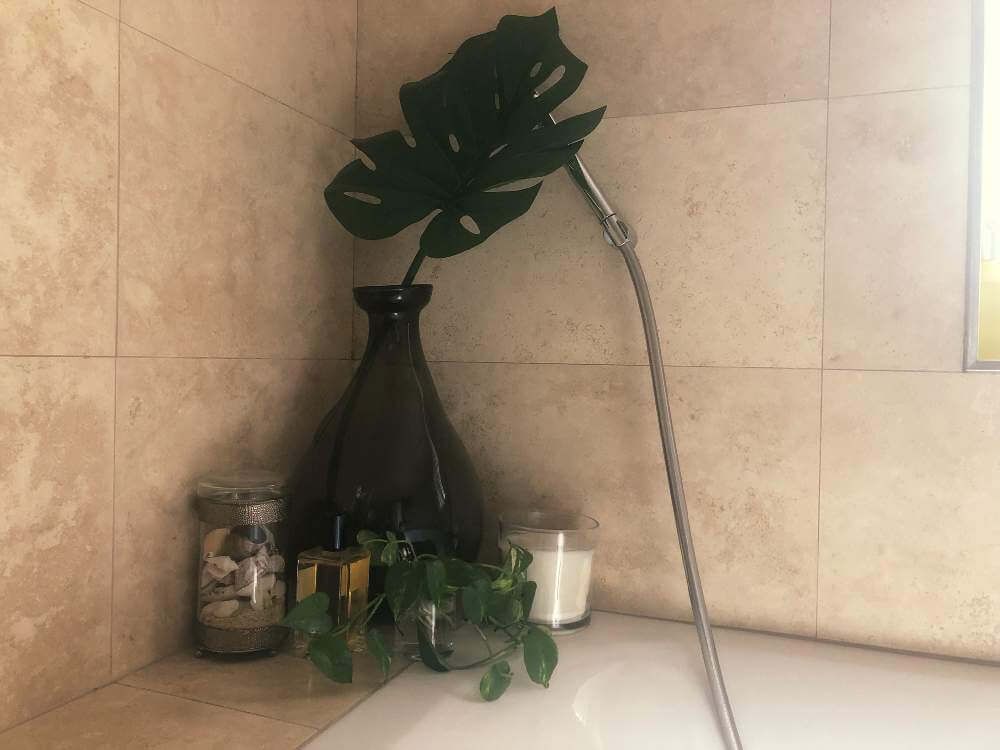 ポトス　花瓶　葉