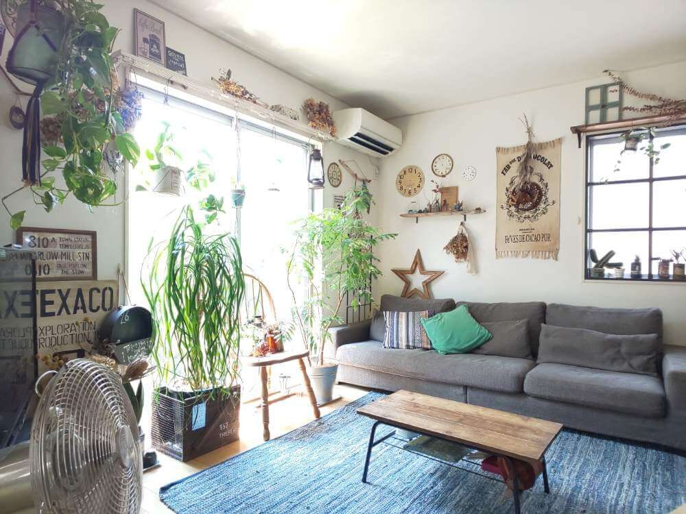 ポトス　リビング　窓際