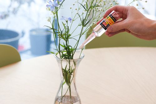 知らなかった 花のキレイ 長持ち術 アンプル を使って鉢花 切り花をイキイキ元気に Greensnap グリーンスナップ