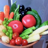 植えるな危険？家庭菜園で一緒に育ててはいけない野菜たちの画像