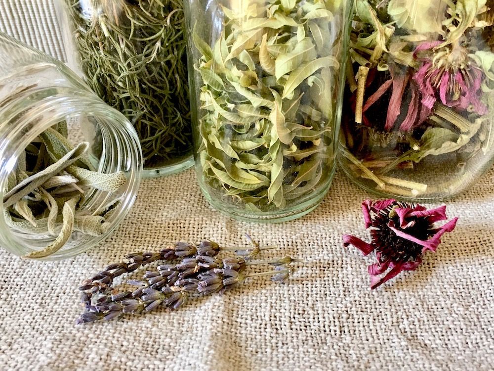 ハーブ　ラベンダー　