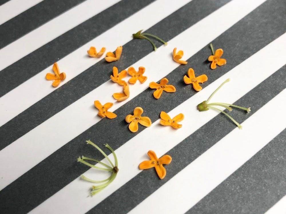 ポプリ　作り方　モイストポプリ