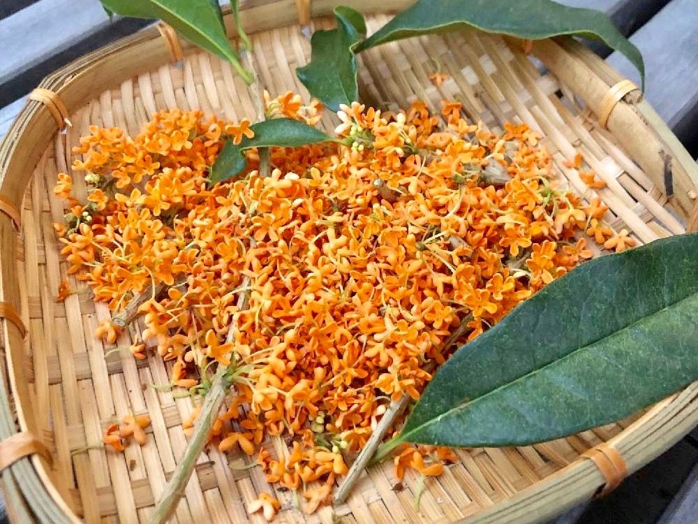 ポプリ　作り方　モイストポプリ