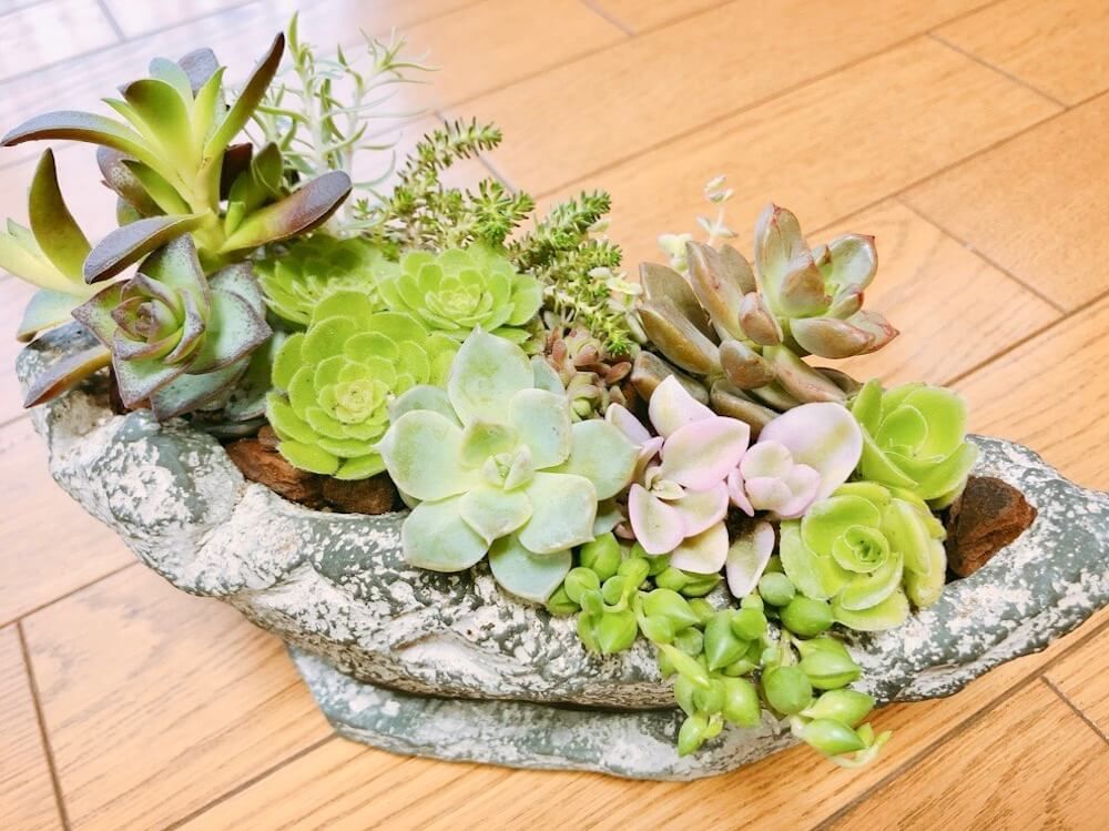 園芸グッズ　オンラインショップ　鉢人