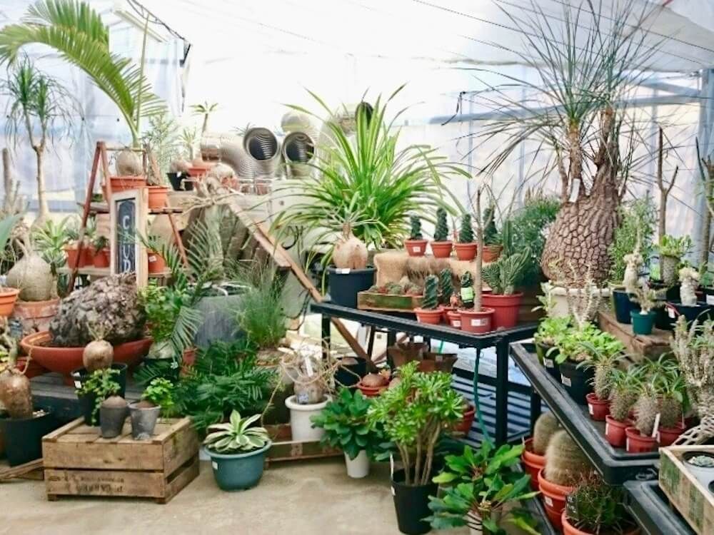 園芸グッズ　オンラインショップ　ユニバーサル園芸