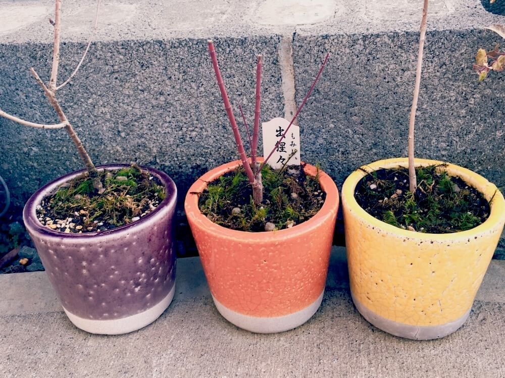 園芸グッズ　DULTON　オンラインショップ