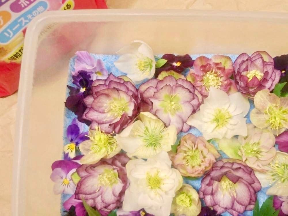 シリカゲル　ドライフラワー