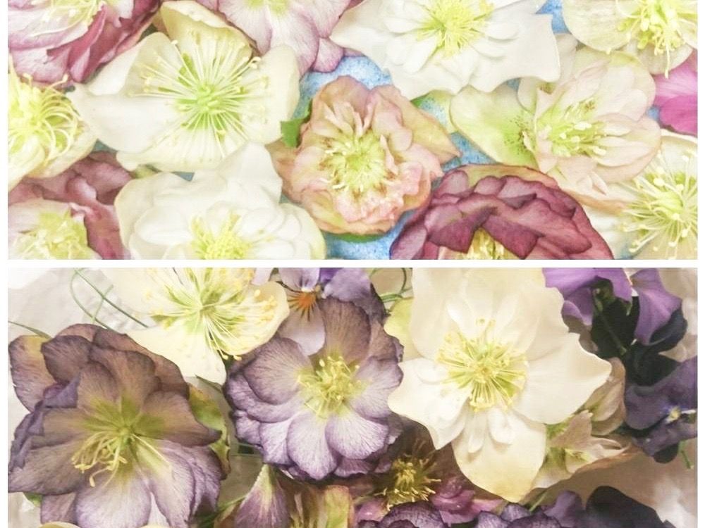 シリカゲル　ドライフラワー