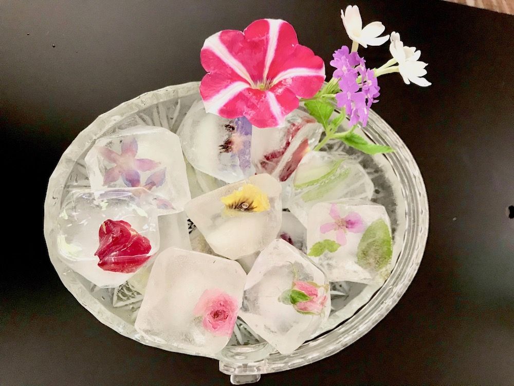 フラワーアイスキューブ　夏　花　エディブルフラワー