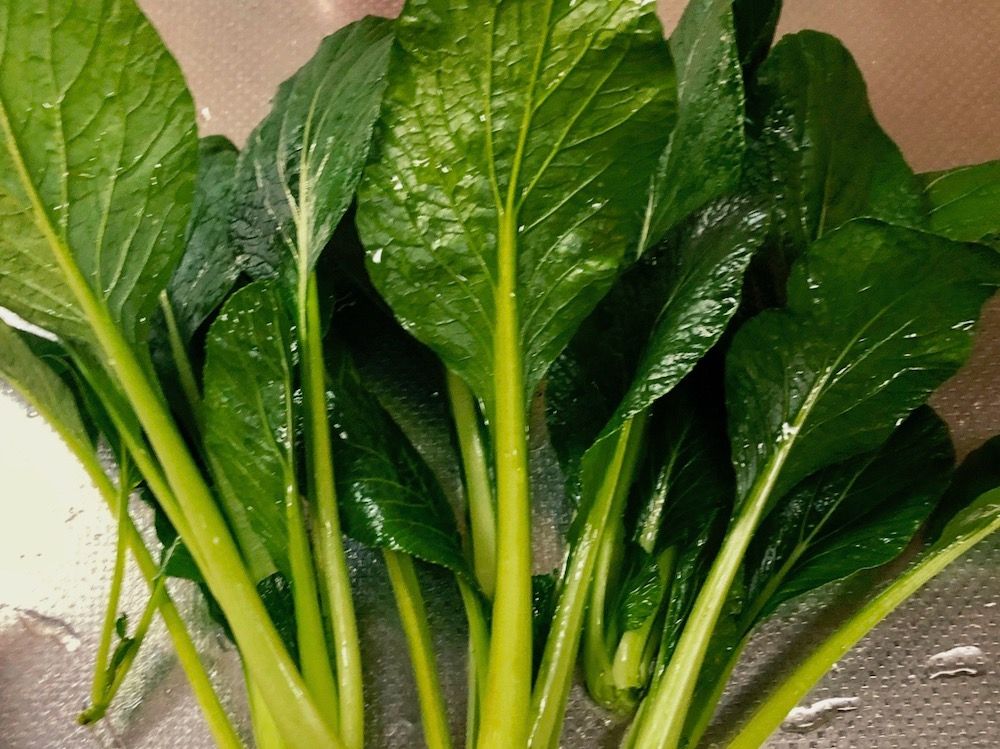 小松菜　コマツナ　こまつな