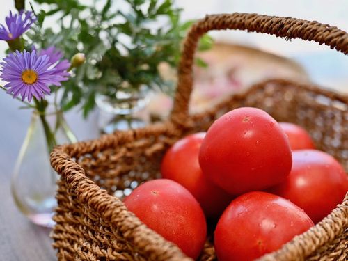 トマトの育て方 プランター栽培のコツは 水やり頻度は Greensnap グリーンスナップ