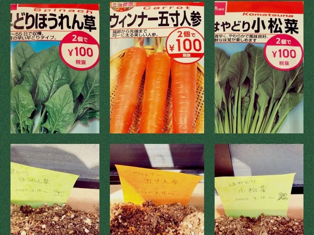 100円ショップ　100均　園芸グッズ　家庭菜園