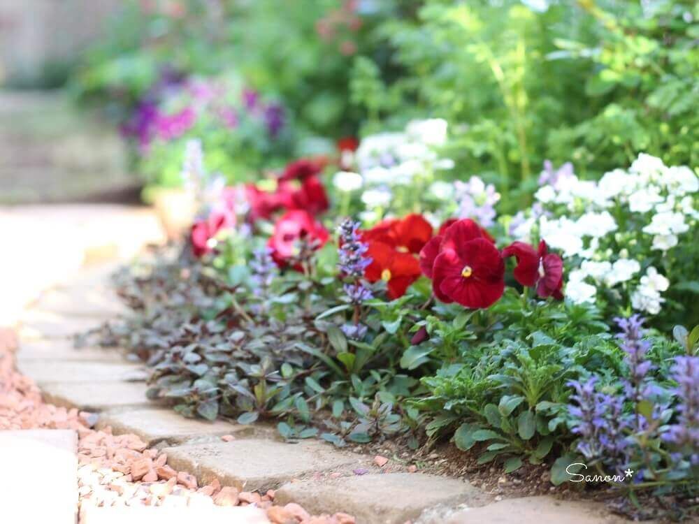 ガーデニング　花壇