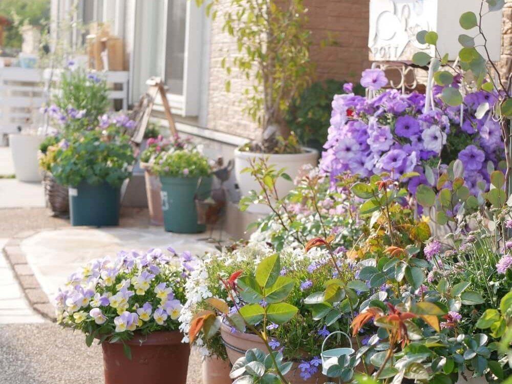 ガーデニング　花壇