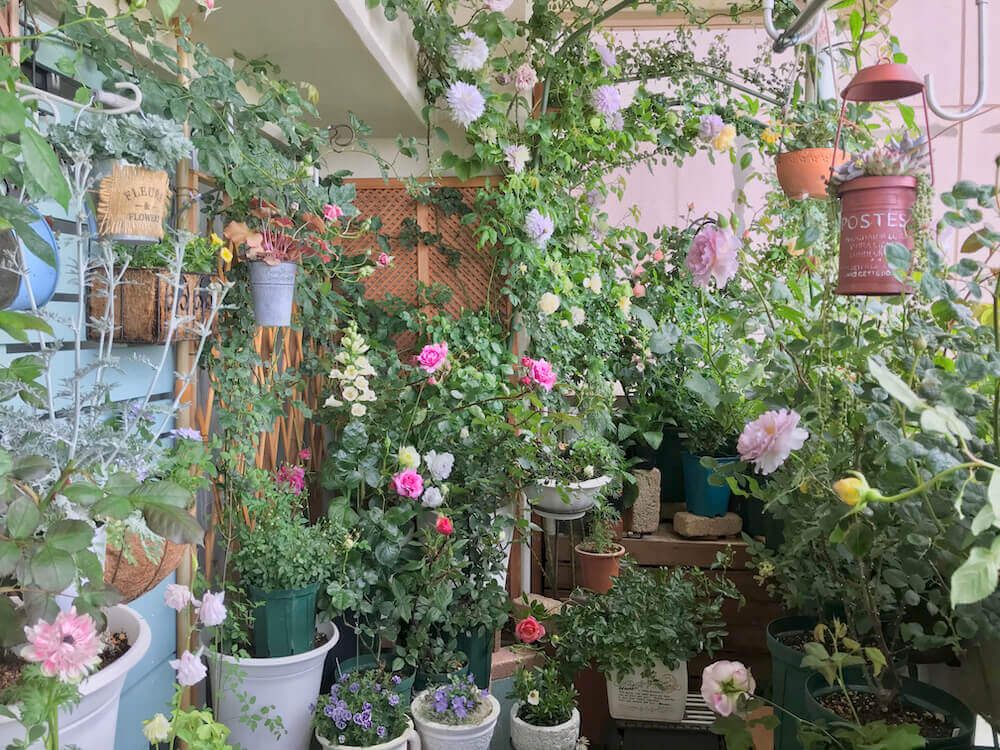 ガーデニング　花壇　ベランダ菜園　ベランダガーデナー