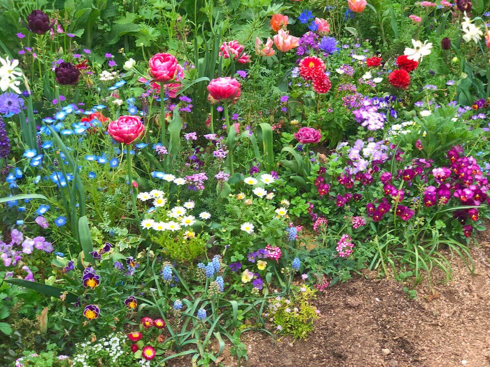 ガーデニング　花壇