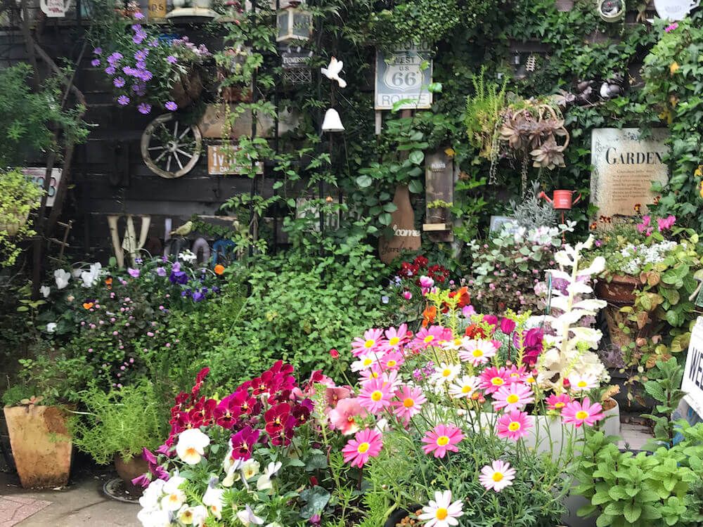 ガーデニング　花壇