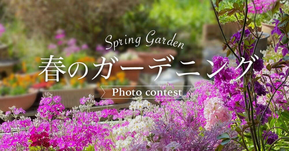 春のガーデニング　フォトコンテスト