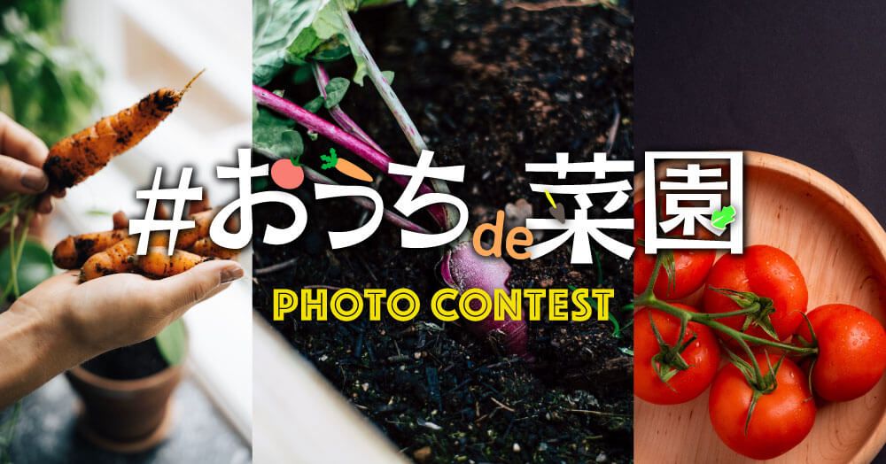 おうちde菜園 フォトコンテスト