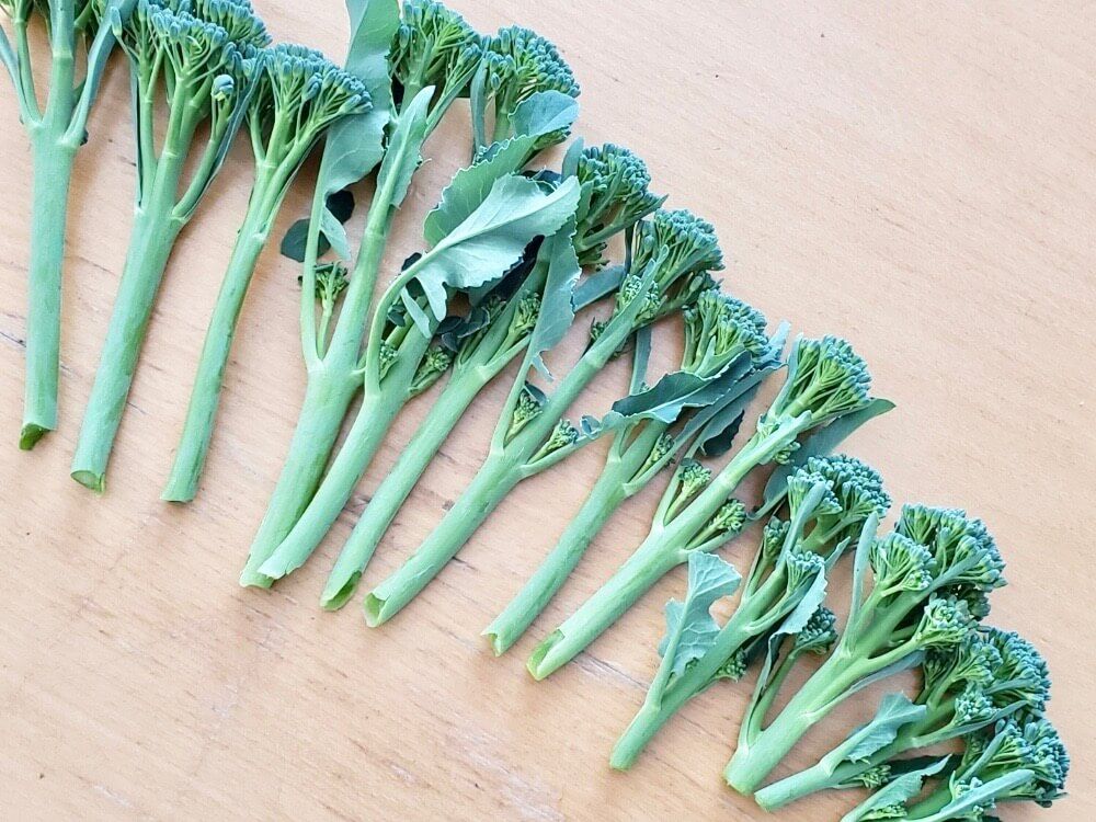 茎ブッコリー　家庭菜園