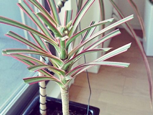 D3pbyuzcd27kd Cloudfront Net Wp Content Uploads