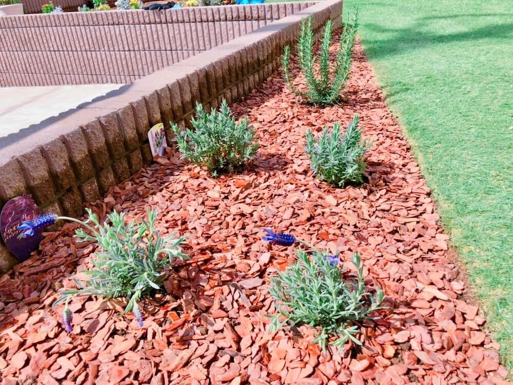 ガーデニング　梅雨対策