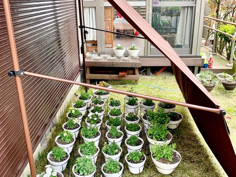 地植え 鉢植え別 絶対にやるべきガーデニング梅雨対策とは Greensnap グリーンスナップ
