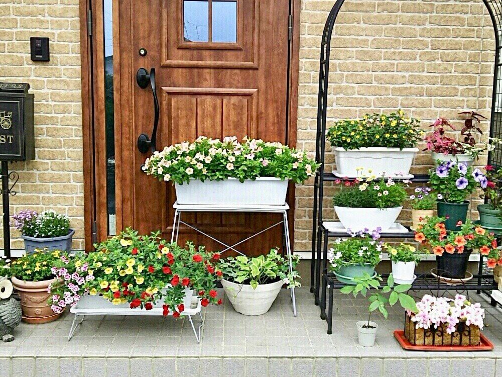 ガーデニング　梅雨対策