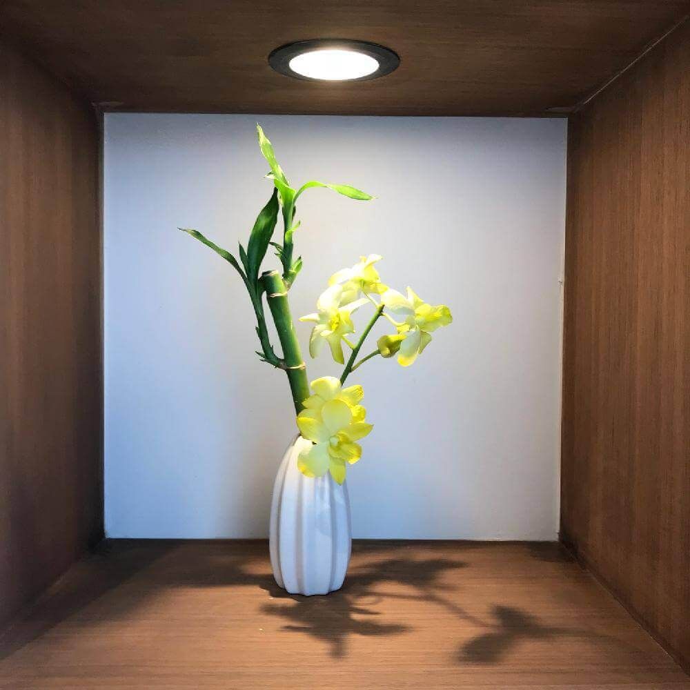 ミリオンバンブー