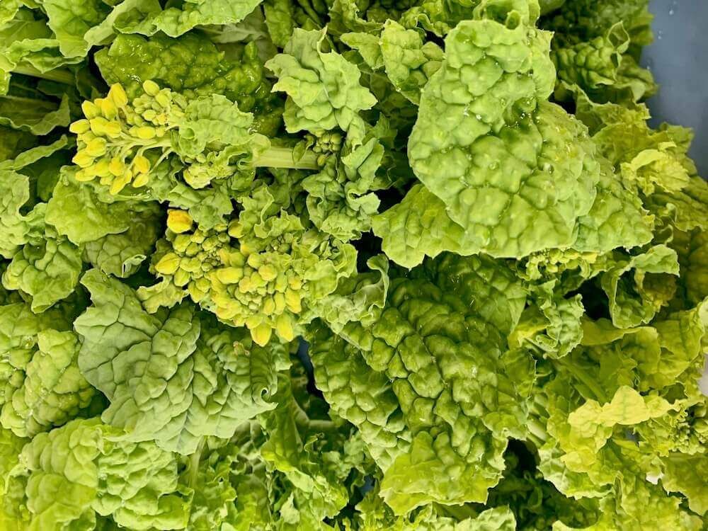 菜の花　ナバナ　ハナナ　アブラナ科