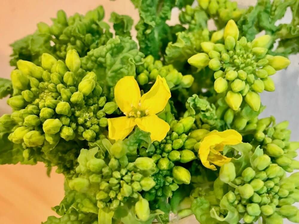 菜の花　ナバナ　ハナナ　アブラナ科