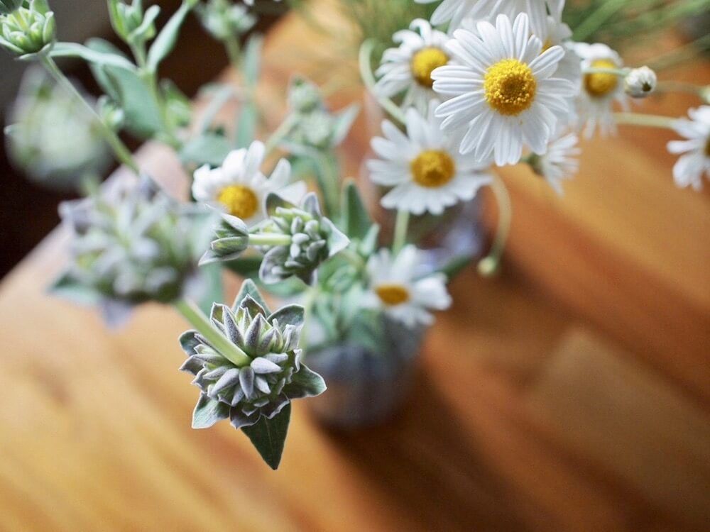 おうち園芸　花瓶　切り花