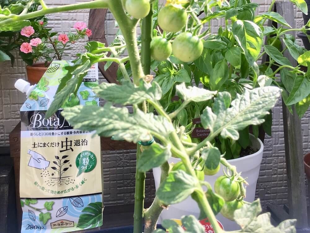 トマト　ミニトマト　害虫　防虫