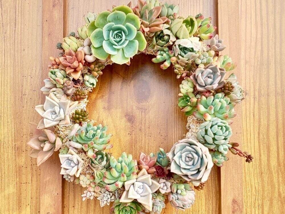 玄関　アプローチ　植物　花　ハンギング　多肉植物　多肉リース