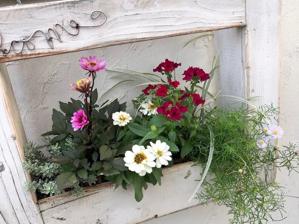 玄関　アプローチ　植物　花　ハンギング