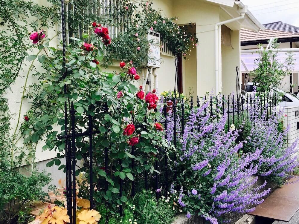 玄関　アプローチ　植物　花　ハーブ　宿根草　ガーデニング