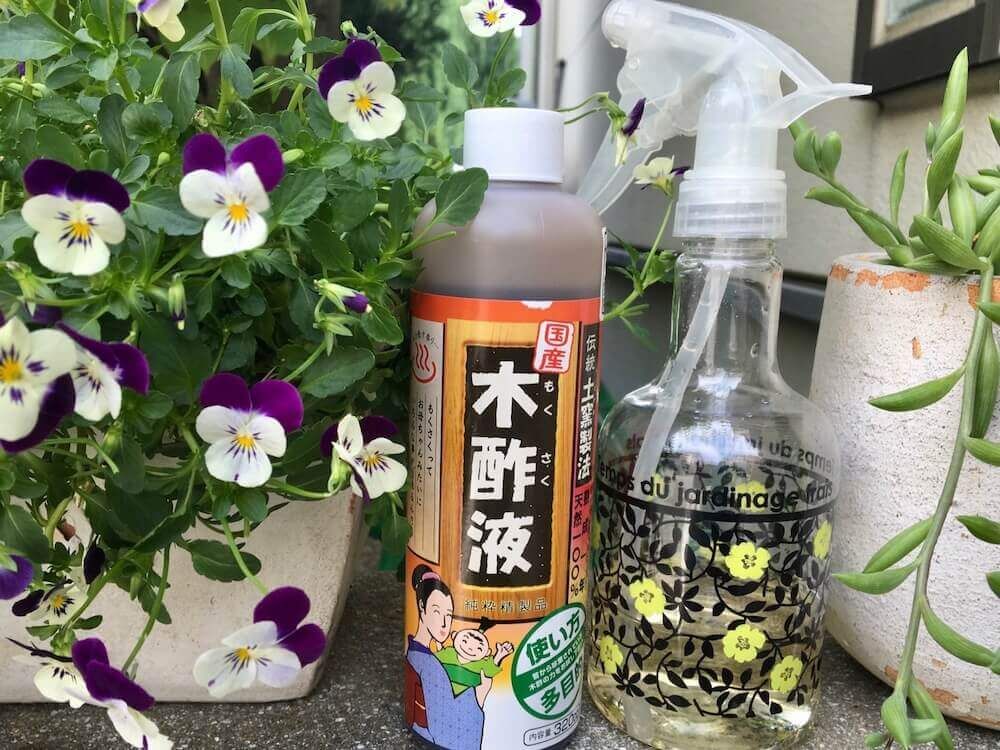 植物のある暮らし　観葉植物　コバエ　枯れる　木酢液