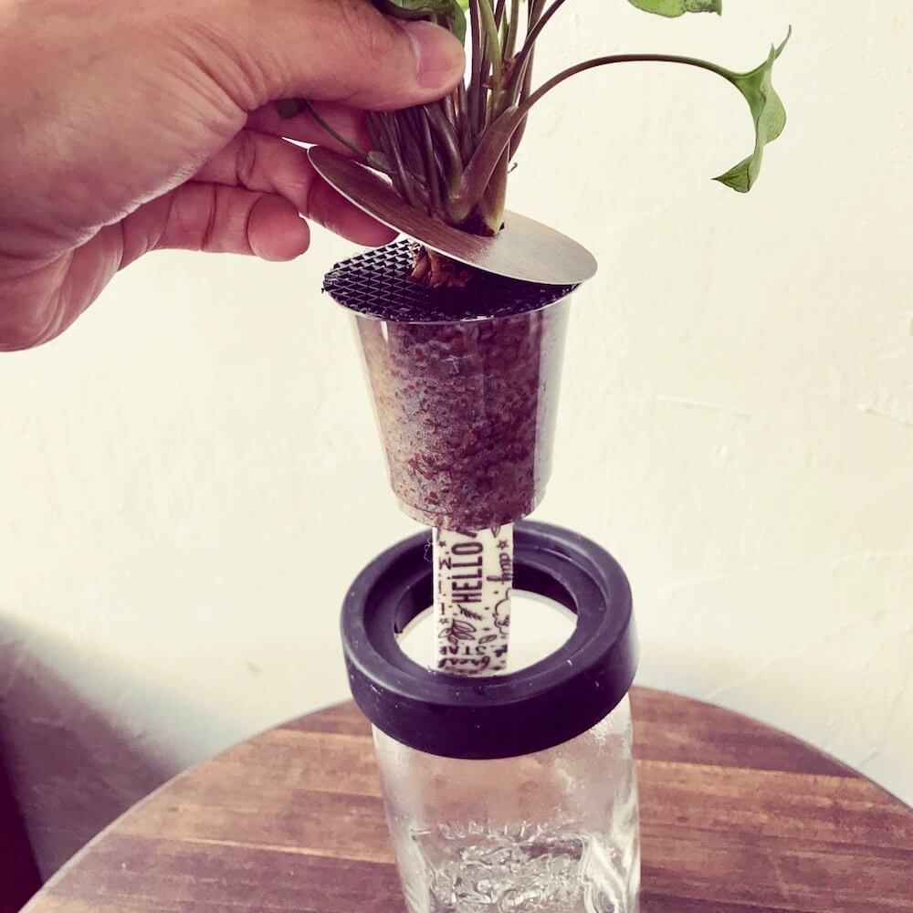 底面給水ポット