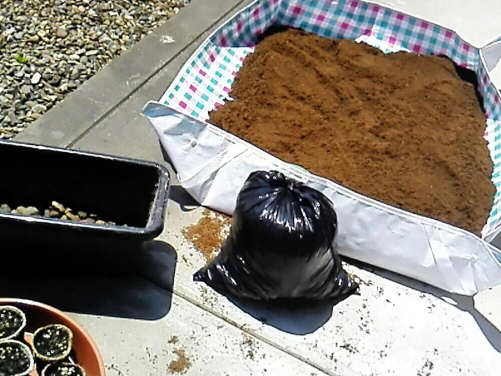 土の捨て方とは ガーデニングで使い終わった土の再生 処分方法 Greensnap グリーンスナップ