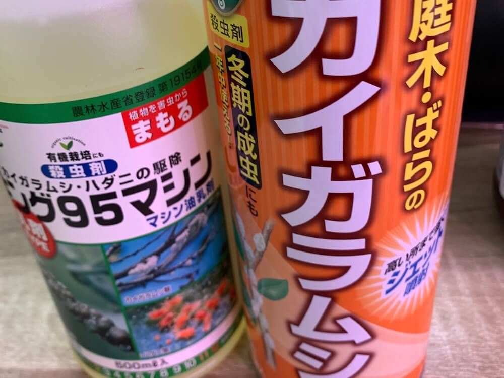 カイガラムシ　介殻虫　貝殻虫　害虫　園芸　駆除　防除　予防　殺虫